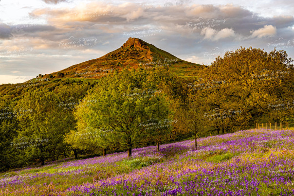 To buy a print or any of the below please click on the images